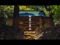 糸井川 と 里山の水を護るカツラの大木 │ Itoi river runs through Itoi village , Hyógo