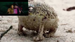 Tiny angry squeaking frog + Oichi crying Sengoku Basara samurai heroes 
