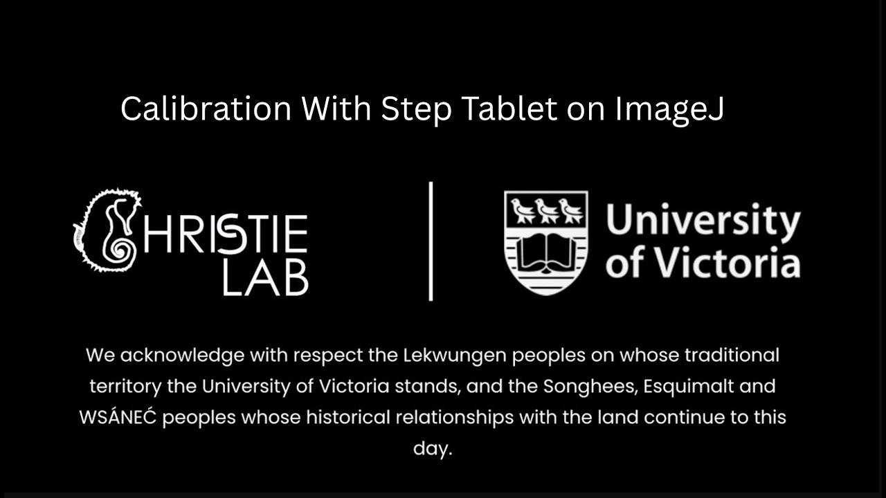 Step Tablet Optical Density Analysis: Calibration with Step Tablet on ImageJ - YouTube