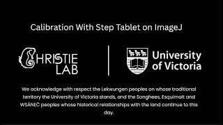 Optical Density Analysis: Calibration with Step Tablet on ImageJ