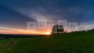 Jimmysquare - Like Apollo