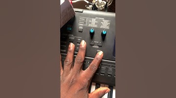 How to access Dual functions on Yamaha Psr E473
