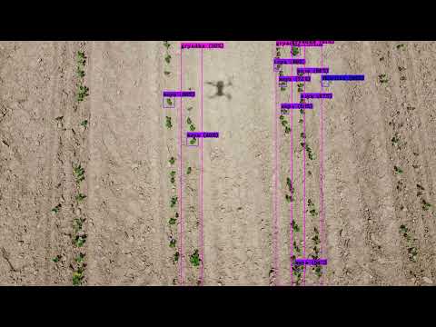 yolo v4 soybean
