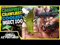 Insect zoo tour stick insects scorpions and more