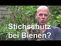 Schutzkleidung und stichschutz der imker  gedanken zu den bienen