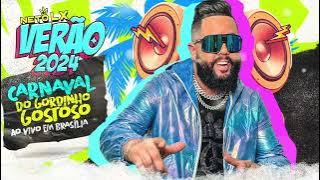 Neto Lx - Carnaval do gordinho Gostoso - Verão 2024