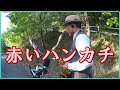 テナーサックスで唄う「赤いハンカチ」