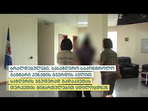 შინაგან საქმეთა სამინისტრომ საზღვრის უკანონოდ გადაკვეთის მცდელობის ბრალდებით 4 პირი დააკავა