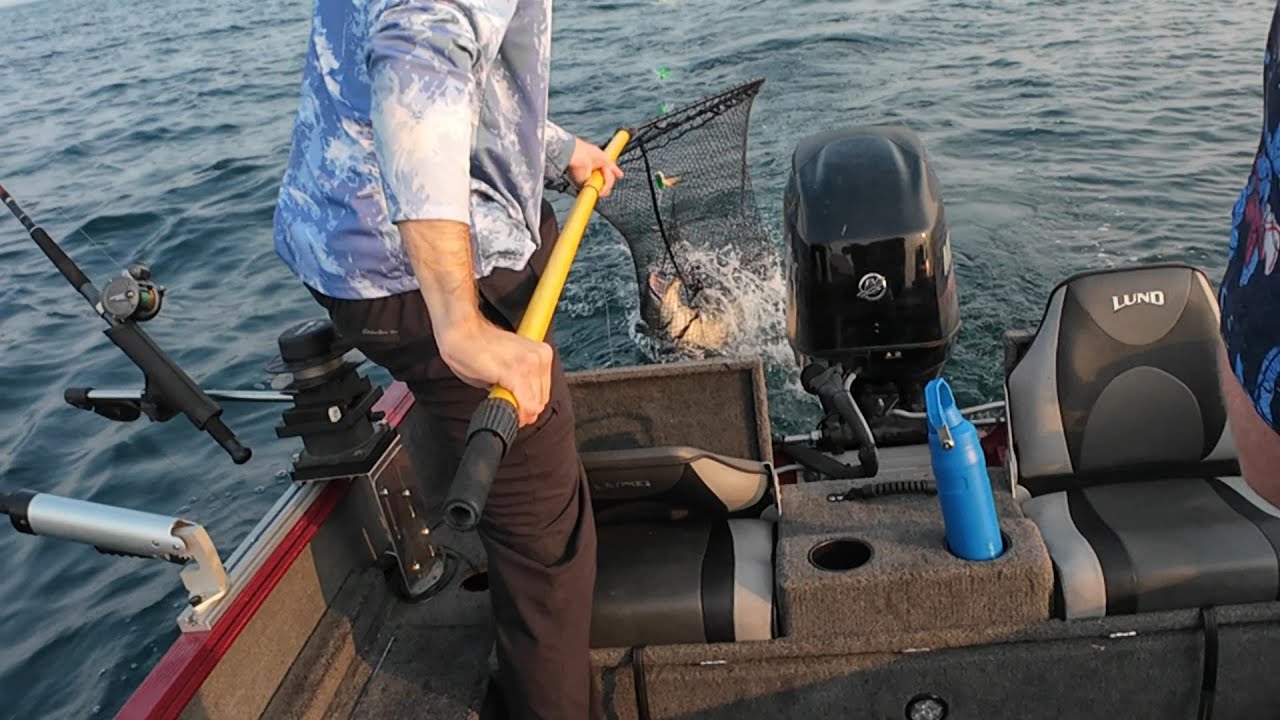 Lake Ontario Salmon Fishing Summer 2025