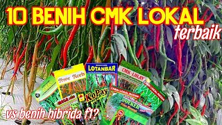 10 BENIH CABE LOKAL TERBAIK!! CMK LOKAL PALING TAHAN BULE