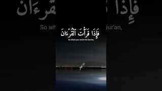 #religion #surah #quransurah An-Nahl.   abdelrahman mosaad