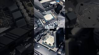 Intel Or Amd Processor?