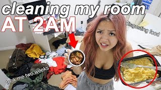 CLEANING MY DISGUSTING ROOM AT 2AM (took me 2 weeks)