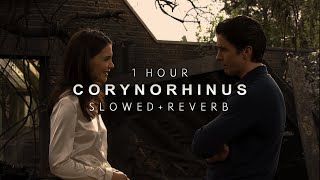 Batman Begins - Corynorhinus | 1 HOUR | Slowed + Reverb