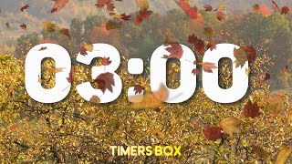 🍂 Silent 3 Minute Autumn Fall Timer ⏳