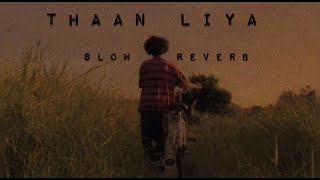 Thaan Liya[slow+reverb]- From Dasvi (lyrics)