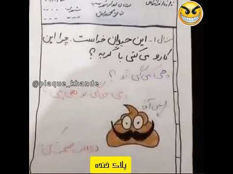 گربه که گناه نداره