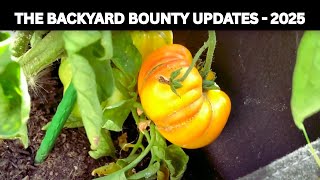THE BACKYARD BOUNTY UPDATES - 2025