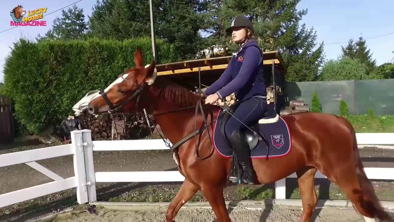 Prawo jazdy w zastępie