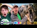 Dinosaur Escape Adventure! Giant T-Rex - Baby Dinosaurs For Kids | Learning Videos  | Moonbug Kids