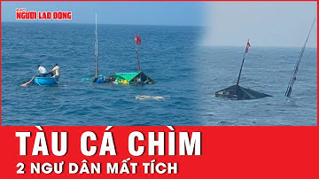 Thợ lặn nỗ lực tìm kiếm 2 ngư dân mất tích sau khi tàu cá chìm do va chạm với tàu hàng | Tin tức