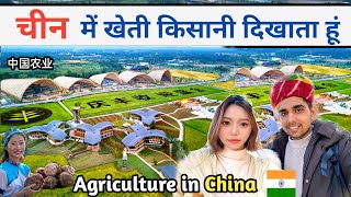 चीन में खेती किसानी दिखाता हूँ agriculture in China Niranjan