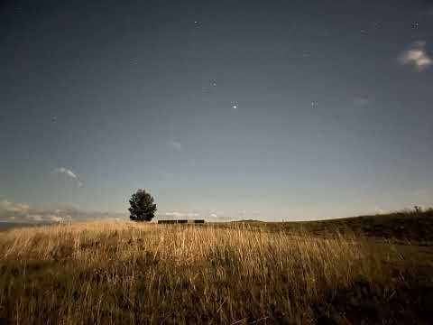 Dub Techno Mix — Tree and a Star