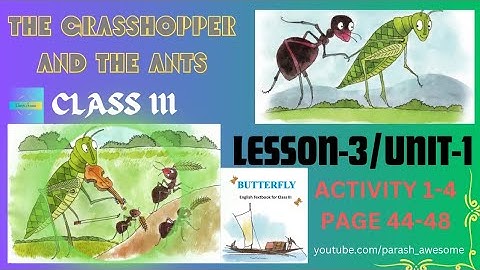 Class 3 Butterfly English Lesson 3. Page 44-48 Activities