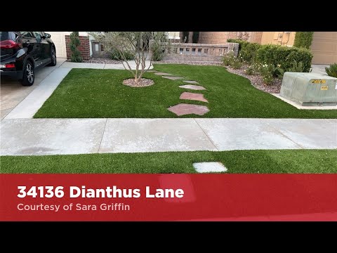 34136 Dianthus Lane, Lake Elsinore, CA home video tour
