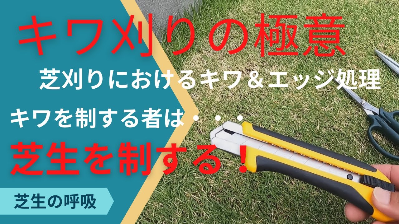 キワ刈りを制する者は・・・なんちゃら？！