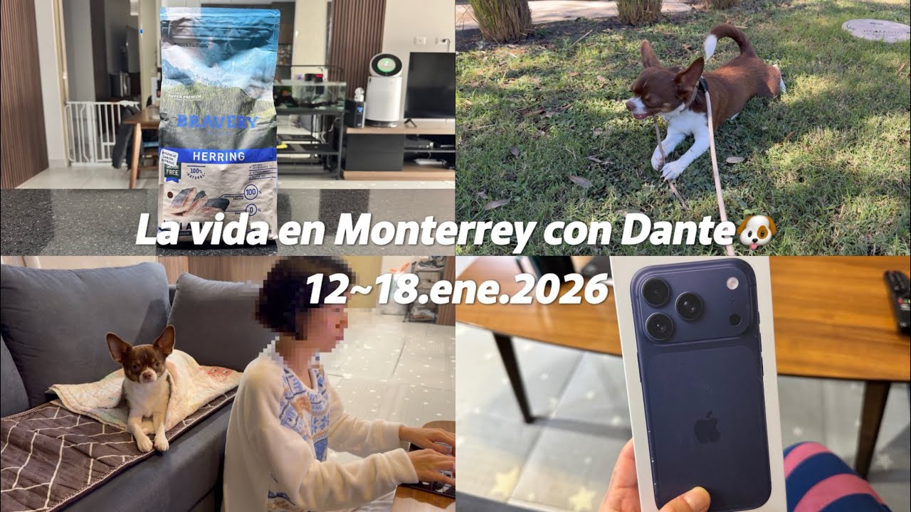 🇲🇽 | 26.01.12~18 멕시코 몬테레이 생활 (📍미락 샤브샤브, 본가🥢 | Bravery 사료, Luuna 모션베드🛏️, 아이폰17Pro📱)