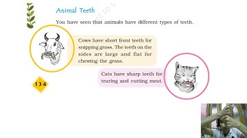 CBSE NCERT EVS CLASS 4 CHAPTER 16 A BUSY MONTH PART 3