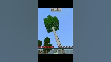 Dynamic Trees Addon For Minecraft 1.18 | Dynamic Trees Mods For Mcpe | #minecraftmods #minecraft