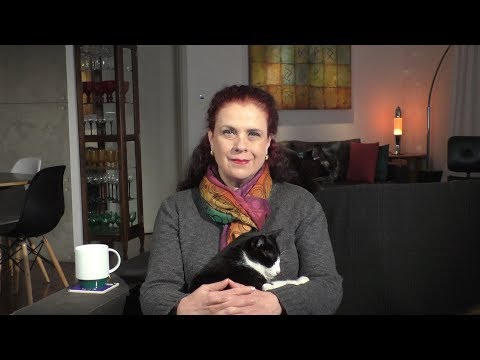 [ AO VIVO ] 4 dicas para você entrar em sintonia com os seres de Órion - [ AO VIVO ] 4 dicas para você entrar em sintonia com os seres de Órion