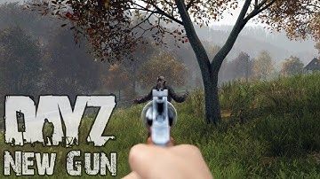 .357 Revolver - DayZ 1.09 Experimental