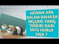 Hewan Apa Yang Hanya Terdiri Dari 1 Huruf ? |50 Teka Teki Hewan