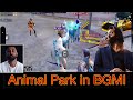 Animal park in bgmi  funny voice over gameplay  antaryami gaming