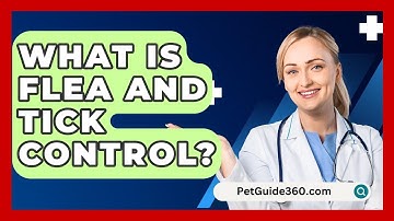 What Is Flea And Tick Control? - PetGuide360.com