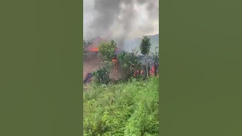 kebakaran di Desa Mojorejo Kec. Selupu Rejang. 2/7/2023