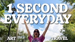 The Craziest Year of My Life | One Second Everyday 2024