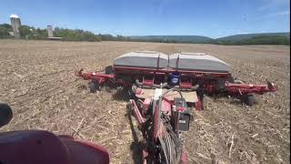 Case IH 1240 planting no till soybeans into 250+ bushel corn stalks