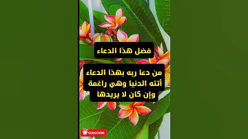 دعاء أبونا ٱدم من دعا بهذا الدعاء أتته الدنيا وهي راغمة وان كان لا يريدها 