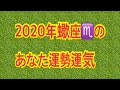 【2020年蠍座♏️あなたの運気運勢❣️】