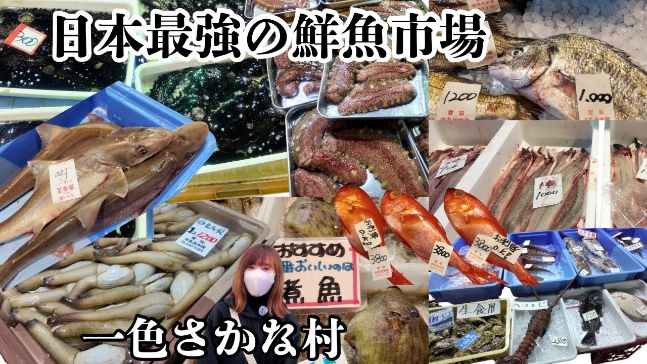 【一色さかな村】今がチャンス！あの高級食材が激安で買える激安鮮魚市場。#市場#激安#一色さかな村