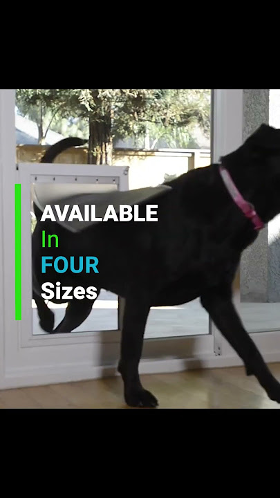 Dog door of the future! #dogdoor #doortech #windows #dogs #puppy #puppies #doggy #pets #cool #doors