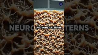 Scientists Trained Living Brain Cells Like AI? 🤯 Biocomputing Explained #facts #scienceshorts
