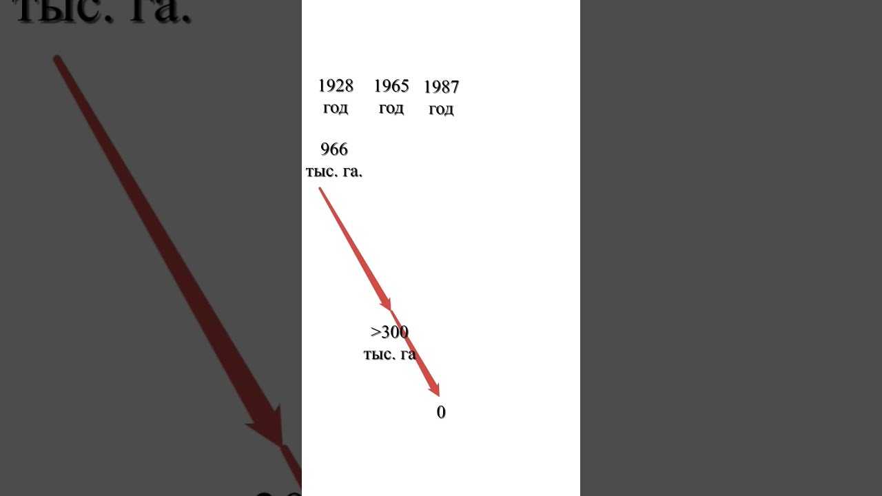 Какую площадь занимали посевы hemp? 