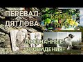 Перевал Дятлова | Осознанные сновидения | Карты Таро