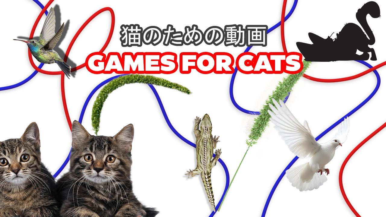 Cat Game 🐁 Mice in Action!  The Ultimate 4K Cat TV Experience