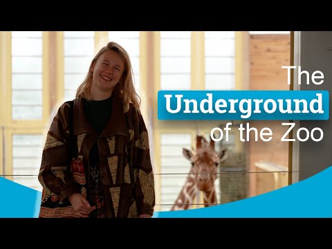 Conducting Research at a Zoo for your Studies | Studying at TU Delft